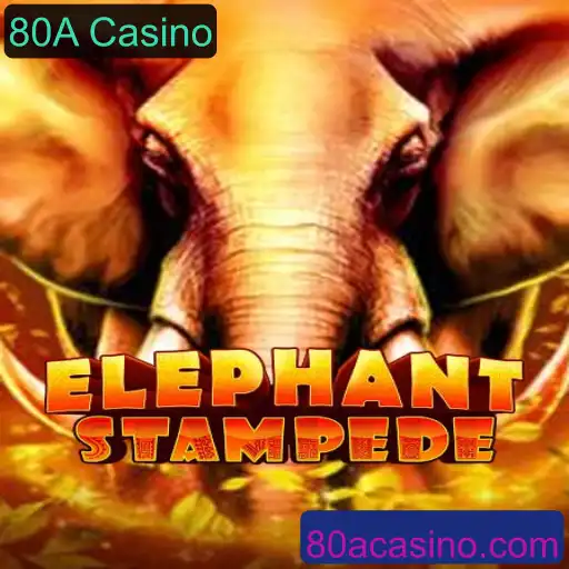 Explorando o Mundo do Jogo ElephantStampede no 80A Casino